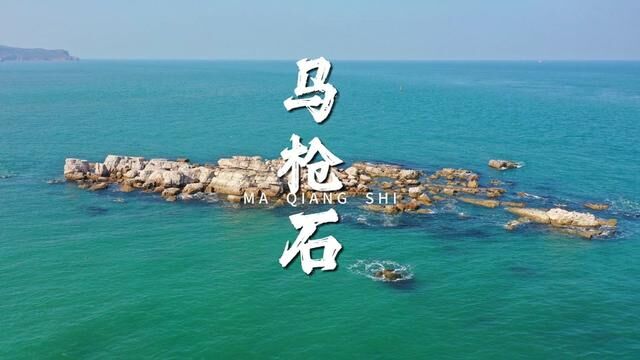 没想到长岛的这座礁石,居然有这么多海鸥#长岛 #烟台网红打卡地 #看海