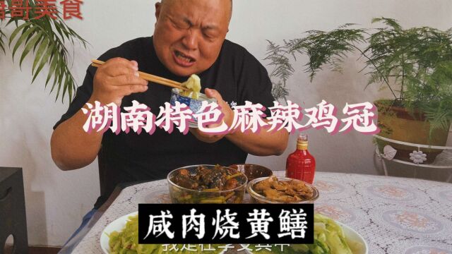 唐嫂下厨,黄鳝烧咸肉,湖南麻辣鸡冠,整四个菜,小喝一碗酒