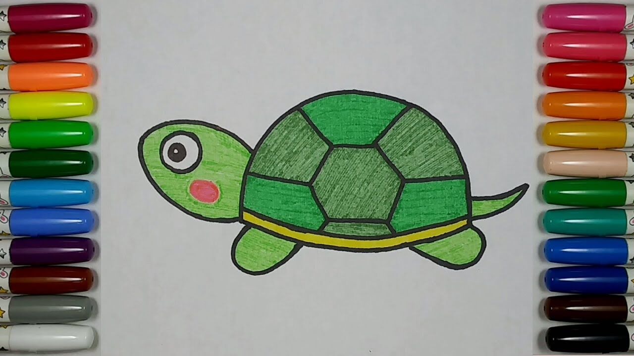 第06集 简笔画教学-学画小乌龟