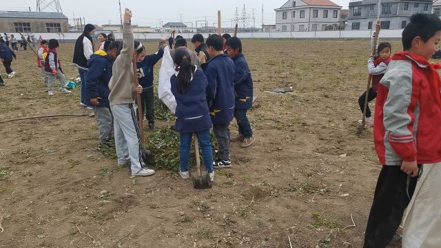 大沙小学劳动教育