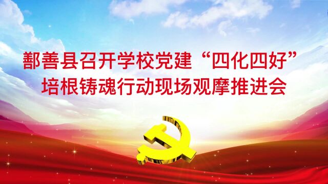 鄯善县召开党建“四化四好”培根铸魂行动现场观摩推进会