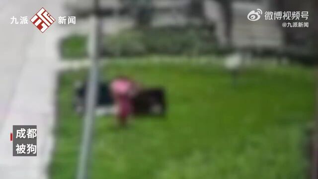 女童小区遭恶犬咬伤生命体征稳定,警方称涉事罗威纳犬有主人