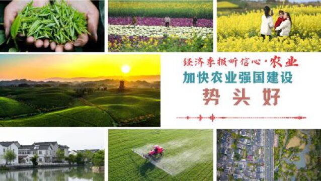 经济季报听信心 | 加快农业强国建设势头好