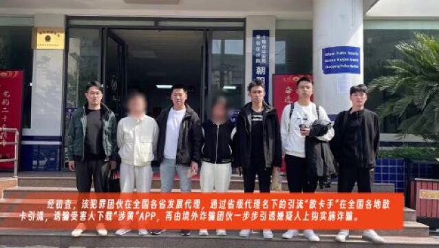 一张“小卡片”牵出千万元大案,厦门警方打掉特大色诱刷单诈骗犯罪团伙