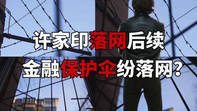 恒大落网后,金融保护伞纷纷落网?下一个是谁?六大收网动作结局如何?