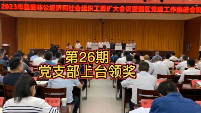 第26期|有幸代表宿松公益党支部上台接受领导颁奖,感恩党委政府的肯定!#宿松