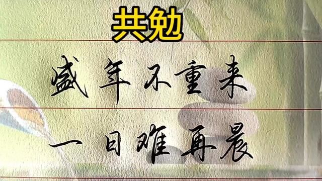 盛年不重来,一日难再晨.及时当勉励,岁月不待人.#手写 #书法 #行书 #练字 #古诗词