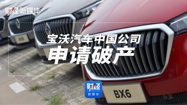 宝沃汽车中国公司申请破产