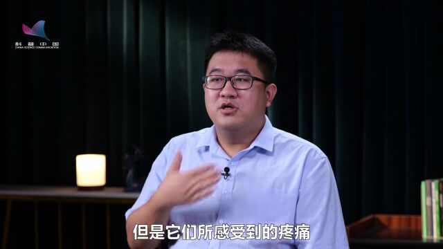 科普之窗 | 被吃没反应,被抓却会挣扎,昆虫真的有痛觉吗?