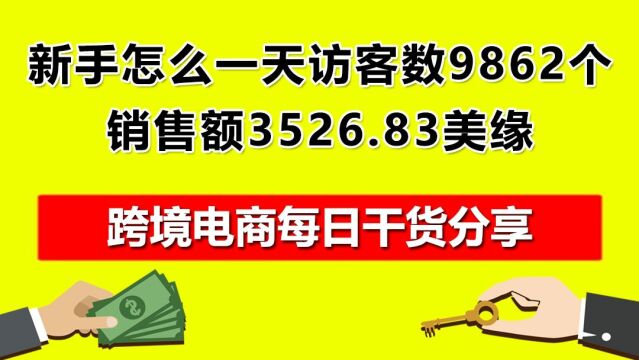 04.速卖通新手怎么做?一天访客数9862个,销售额3526.83美缘