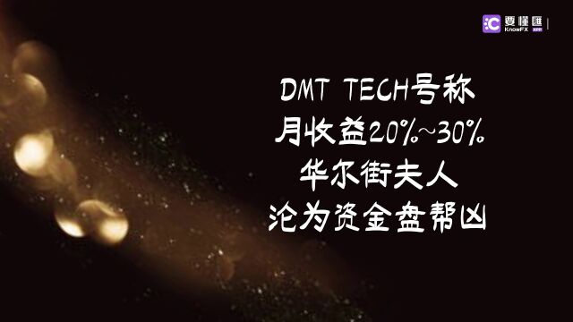 要懂汇:DMT TECH称月收益20%~30%,华尔街夫人沦为资金盘帮凶!