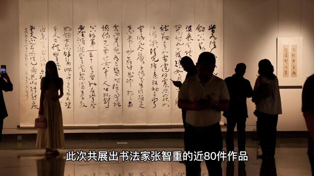 ＂思无邪——张智重书法展＂在深圳关山月美术馆隆重开幕腾讯视频