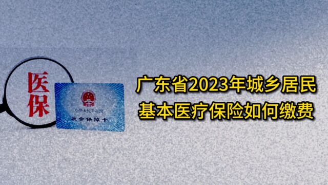 广东省2023年城乡居民基本医疗保险如何缴费