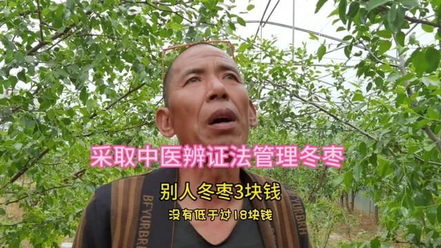 农民大叔管理冬枣方法独特,采用中医辨证法,枣价是别人的6倍 #冬枣