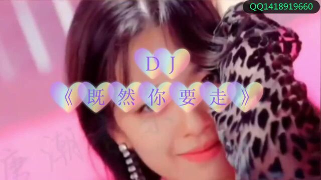 《既然你要走》DJ