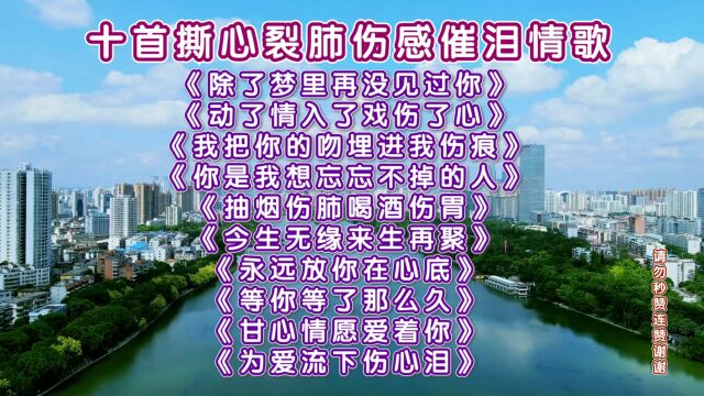 精选十首伤感催泪情歌《除了梦里再没见过你》《动了情入了戏伤了心》《我把你的吻埋进我伤痕》《你是我想忘忘不掉的人》