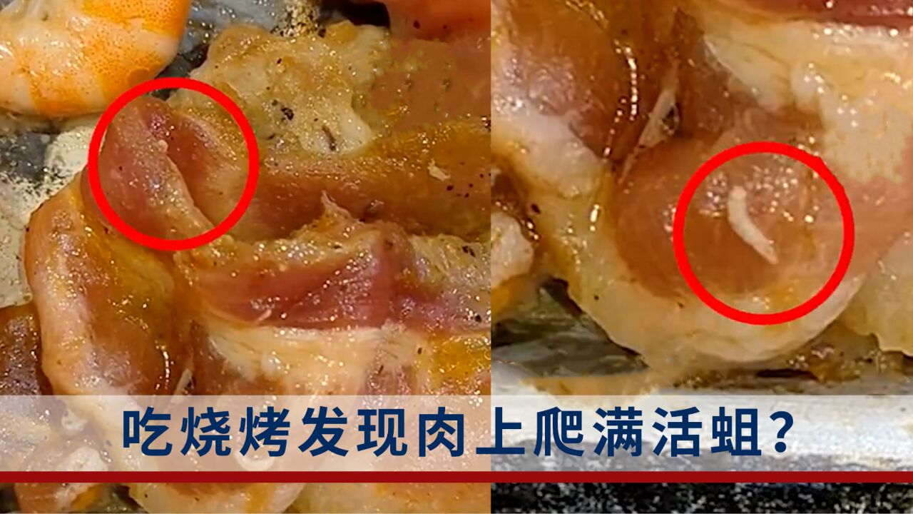 吃烧烤发现肉上爬满活蛆?