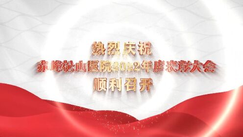 赤峰松山医院表彰大会（4.29）