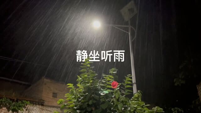 久违的故乡,用一场突如其来的暴雨,涤荡游子归来的心.