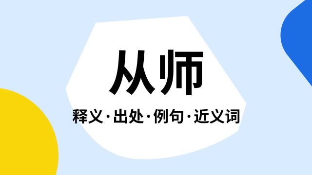 “从师”是什么意思?