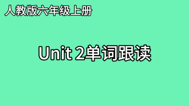 小学每日英语