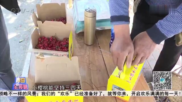 青岛樱桃要下市了?别急,大樱珠马上到