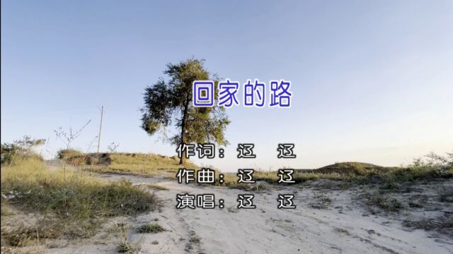 辽辽演唱歌曲《回家的路》KTV版