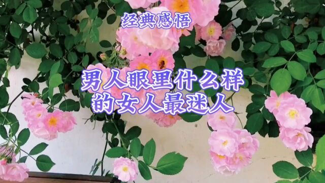 经典感悟男人眼里什么样的女人最迷人