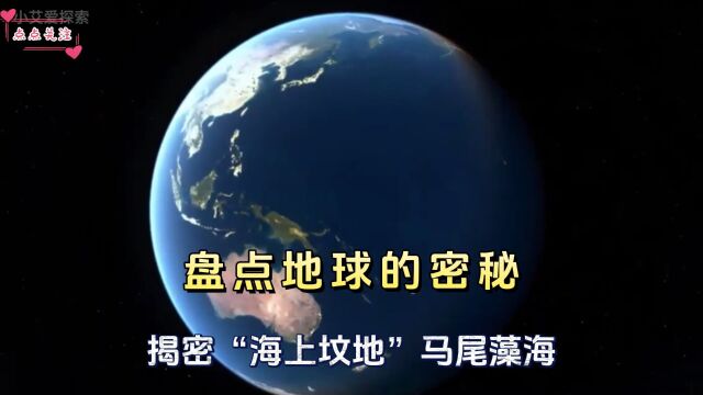 盘点地球的密秘揭密“海上坟地”马尾藻海是怎么形成的