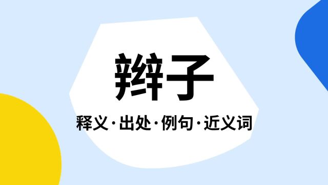 “辫子”是什么意思?