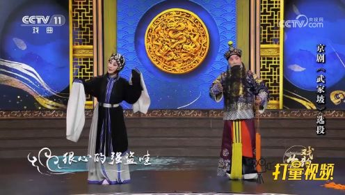 魏海敏、朱强表演京剧《武家坡》选段，我为你不把相府进