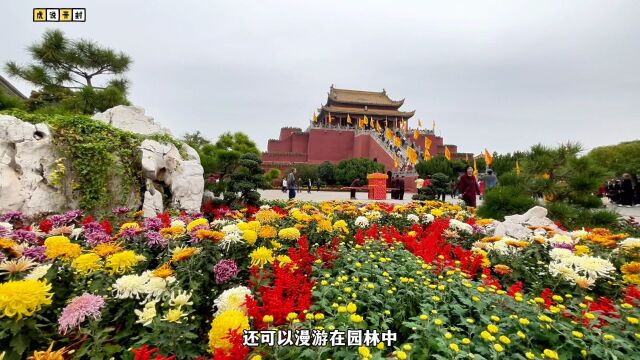 游玩开封赏菊优选打卡地,龙亭公园万盏菊花千种姿态,满园飘香