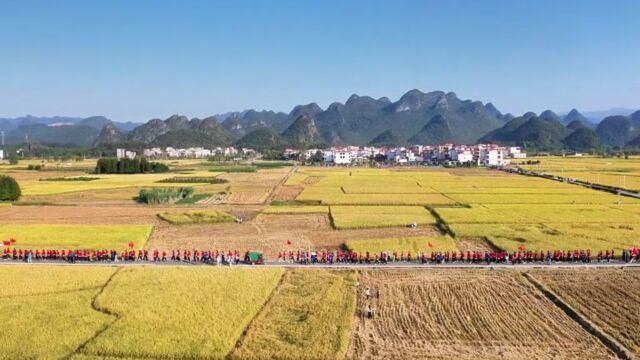 金秋时节,九嶷山迎来珠海容闳书院师生研学团,“同行同学体验生活百味,共研共悟探究人生希望”.#九嶷山#研学旅行#十里画廊#稻田风光美如画