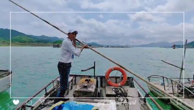 一条黄鱼玩出高级感!象山打造“耕海牧渔”消费新场景