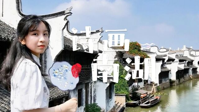 南湖区湘家荡区域奋力打造“污水零直排区”市级标杆