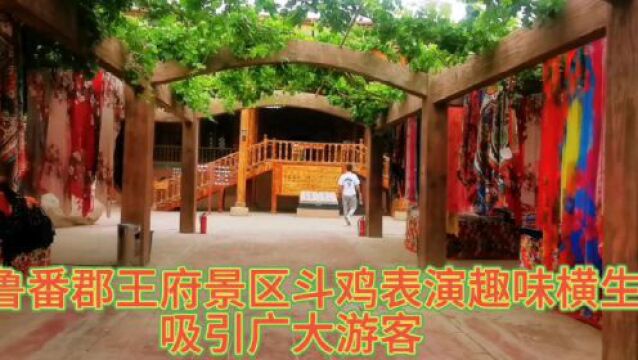 吐鲁番郡王府景区上演精彩斗鸡比赛