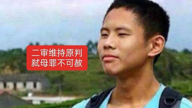 吴谢宇二审维持死刑,想活着能理解,可是弑母罪不可赦