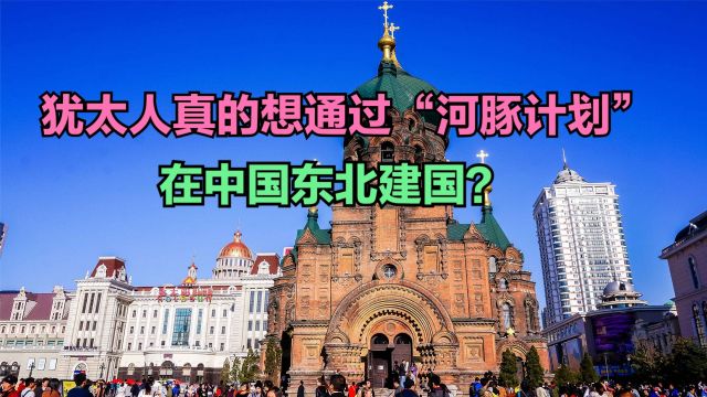 臭名昭著的河豚计划,您知多少?东北三省差一点变成巴勒斯坦!