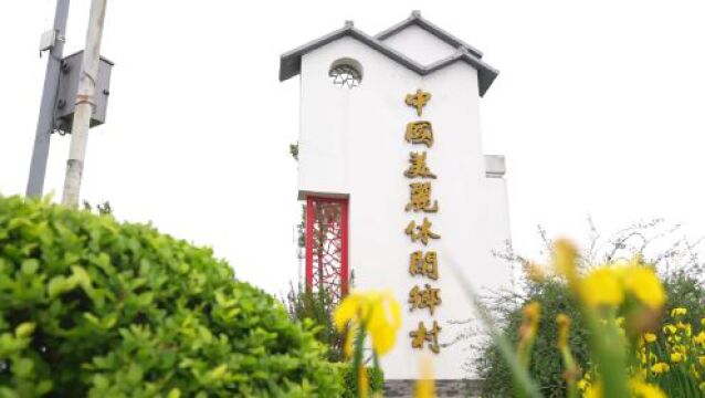 美丽乡村 | 向往的田园乡村——青杠树村