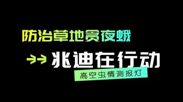 防治草地贪夜蛾兆迪在行动