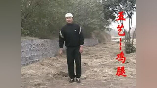 古朴武术心意六合拳五艺盘身火烧身 #心意拳 #传统武术文化