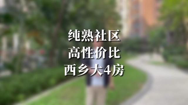 西乡的高性价比4房,你觉得值多少钱?