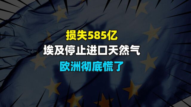 损失585亿,埃及停止进口天然气,欧洲彻底慌了