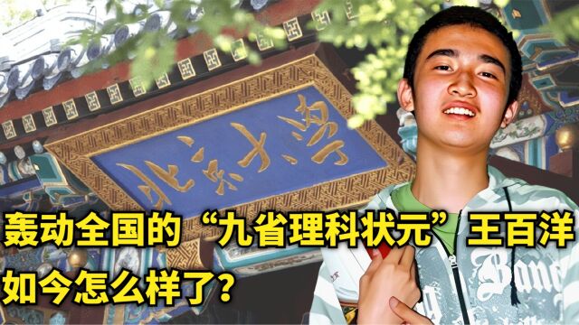 2009年,那个轰动全国的“九省理科状元”王百洋,现状如何了?