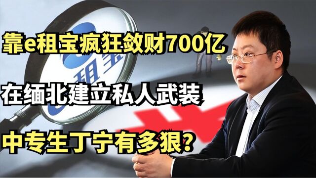 靠e租宝疯狂敛财700亿,在缅北建立私人武装,中专生丁宁有多狠?