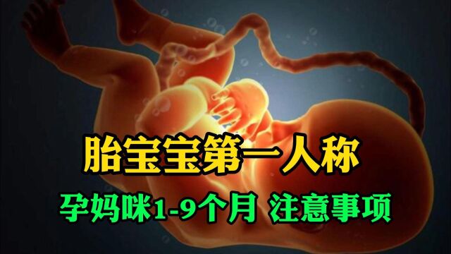 孕妈咪19个月 注意事项