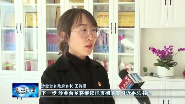 感恩奋进系列谈⑩ | 沙金台乡:党建为引领 赋能乡村振兴