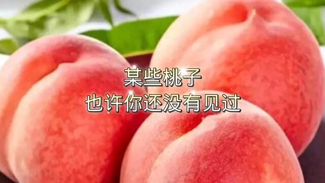 某些桃子也许你还没有见过(一)#桃子熟了