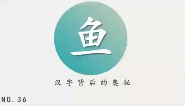 汉字背后的奥秘(鱼)