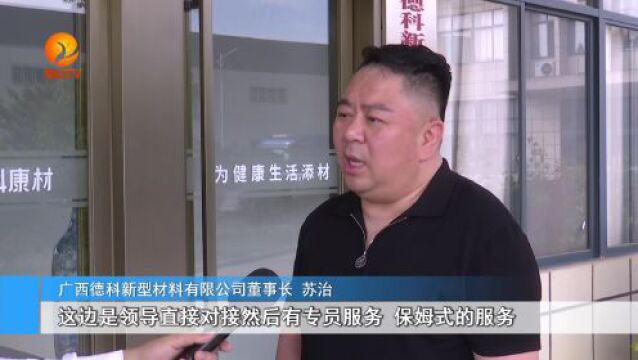 强服务 优环境,崇左大力推动民营经济高质量发展